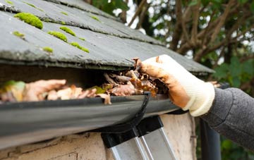 gutter cleaning Edvin Loach, Herefordshire